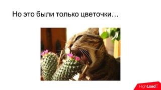 Но это были только цветочки…
 