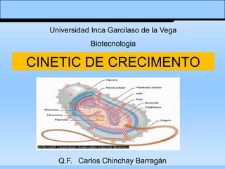 Q.F. Carlos Chinchay Barragán
Universidad Inca Garcilaso de la Vega
Biotecnologia
CINETIC DE CRECIMENTO
 