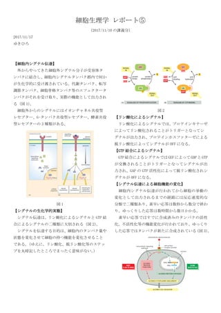 細胞生理学 レポート⑤
（2017/11/10 の講義分）
2017/11/17
ゆきひろ
【細胞内シグナル伝達】
外からやってきた細胞外シグナル分子が受容体タ
ンパクに結合し、細胞内シグナルタンパク郡内で何か
が生化学的に受け渡されている。代謝タンパク、転写
調節タンパク、細胞骨格タンパク等のエフェクタータ
ンパクがそれを受け取り、実際の機能として出力され
る（図 1）。
細胞外からのシグナルにはイオンチャネル共役型
レセプター、G-タンパク共役型レセプター、酵素共役
型レセプターの 3 種類がある。
図 1
【シグナルの生化学的実態】
シグナル伝達は、リン酸化によるシグナルと GTP 結
合によるシグナルの二種類に大別される（図 2）。
シグナルを伝達する目的は、細胞内のタンパク量や
状態を変化させて細胞の持つ機能を変化させること
である。（ゆえに、リン酸化、脱リン酸化等のステッ
プを丸暗記したところでまったく意味がない。）
図 2
【リン酸化によるシグナル】
リン酸化によるシグナルでは、プロテインキナーゼ
によってリン酸化されることがトリガーとなってシ
グナルが出力され、プロテインホスファターゼによる
脱リン酸化によってシグナルが OFF になる。
【GTP 結合によるシグナル】
GTP結合によるシグナルでは GEFによって GDPと GTP
が交換されることがトリガーとなってシグナルが出
力され、GAP の GTP 活性化によって脱リン酸化されシ
グナルが OFF になる。
【シグナル伝達による細胞機能の変化】
細胞内シグナル伝達が行われてから細胞の挙動の
変化として出力されるまでの経路には反応速度的な
分類で二種類あり、素早い応答は数秒から数分で終わ
り、ゆっくりした応答は数時間から数日かかる。
素早い応答ではすでに合成済みのタンパクの活性
化、不活性化等の機能変化が行われており、ゆっくり
した応答ではタンパクが新たに合成されている（図 3）。
 