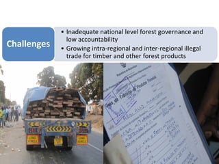 Inter-regional/continental trade in timber
TRAFFIC, USAID
 