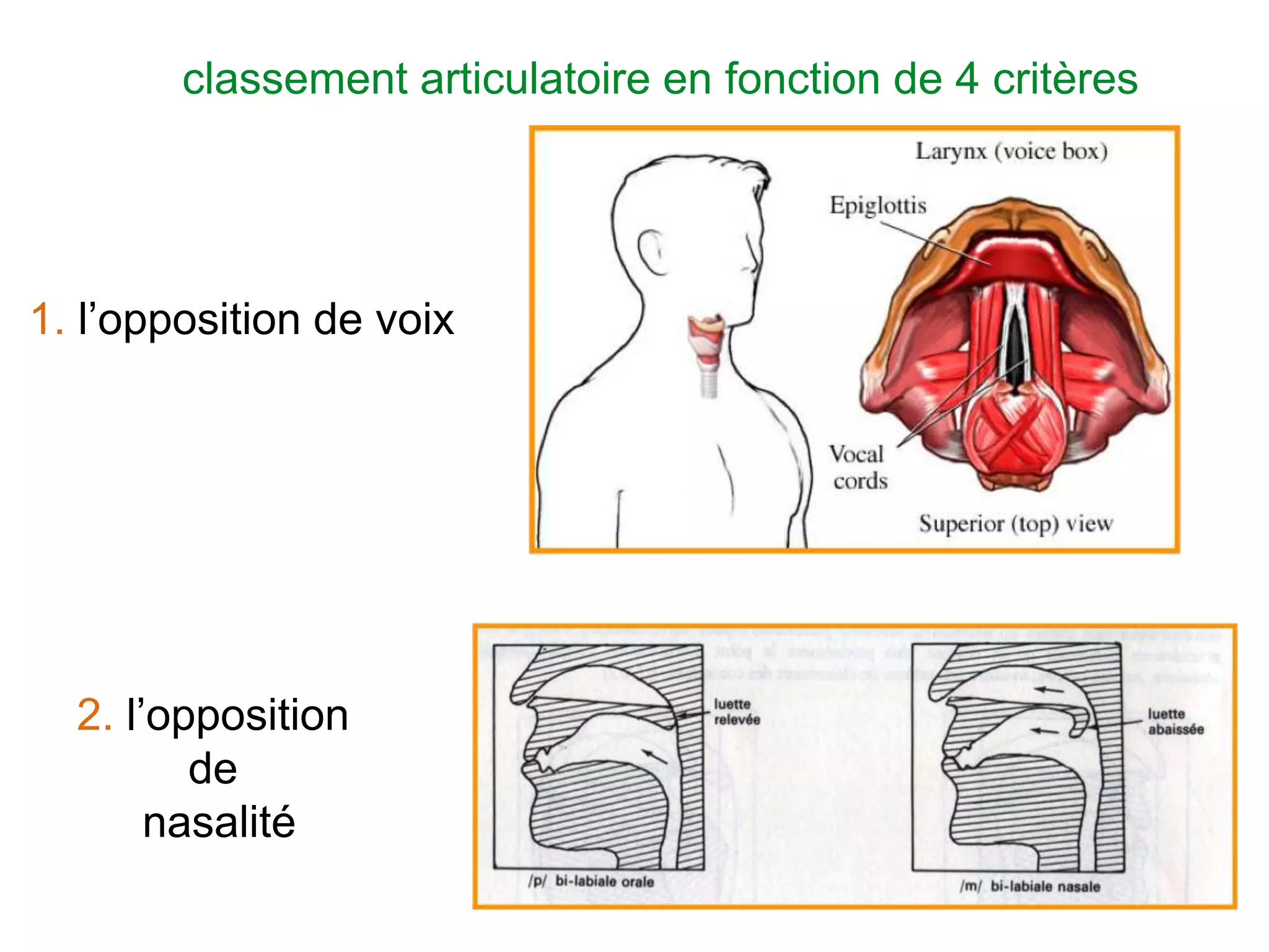 Slide 12
