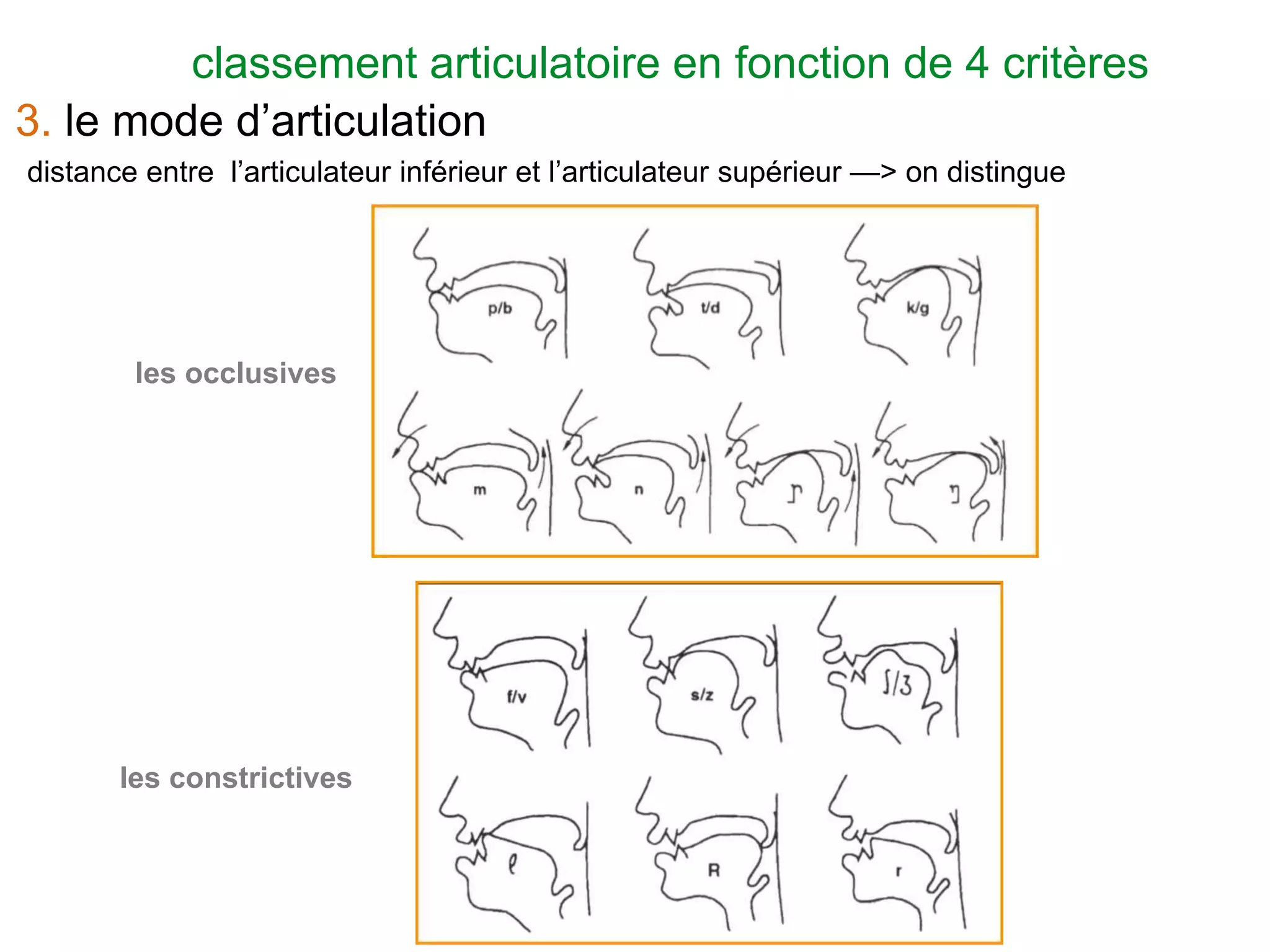 Slide 13