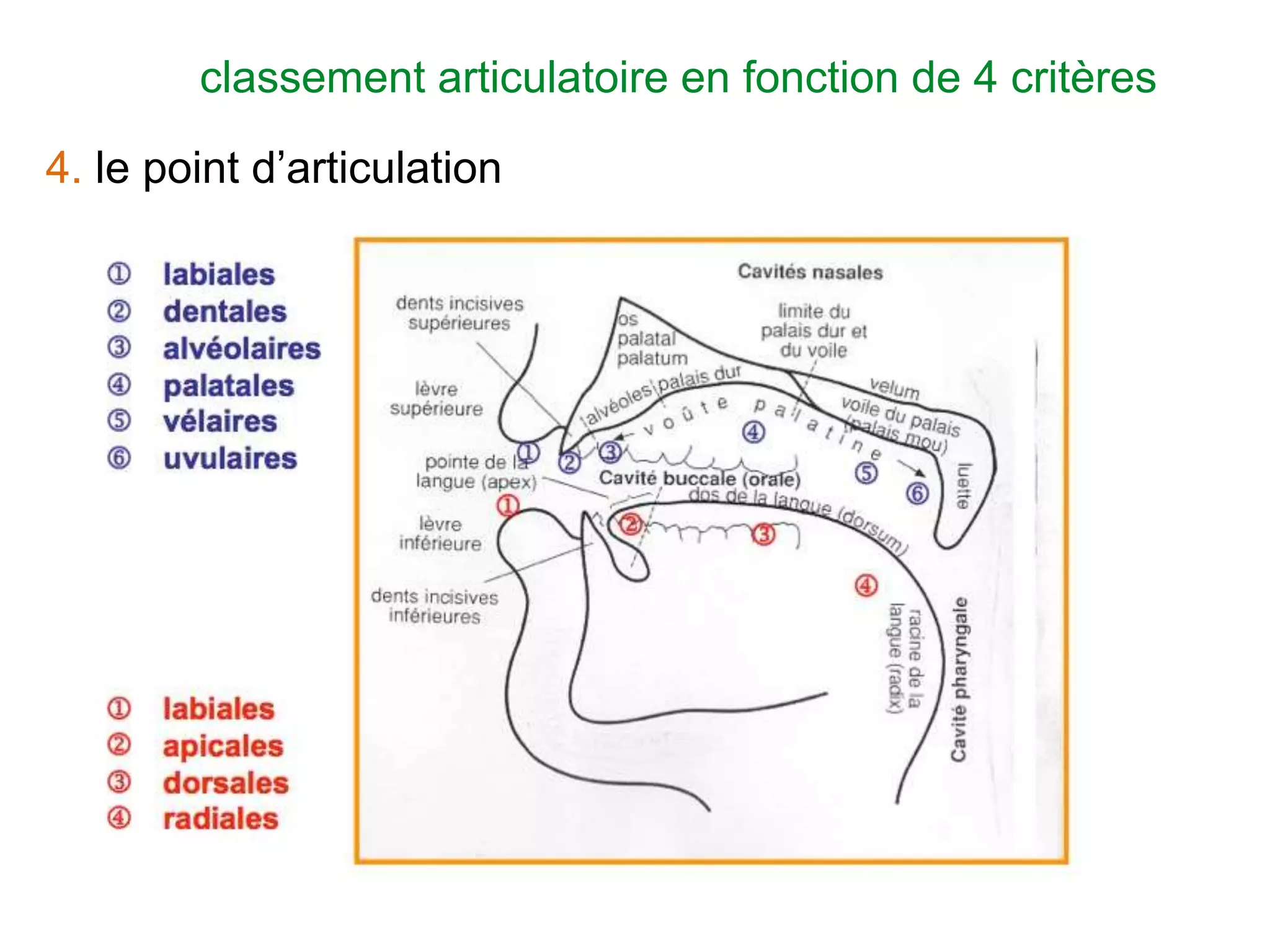 Slide 14