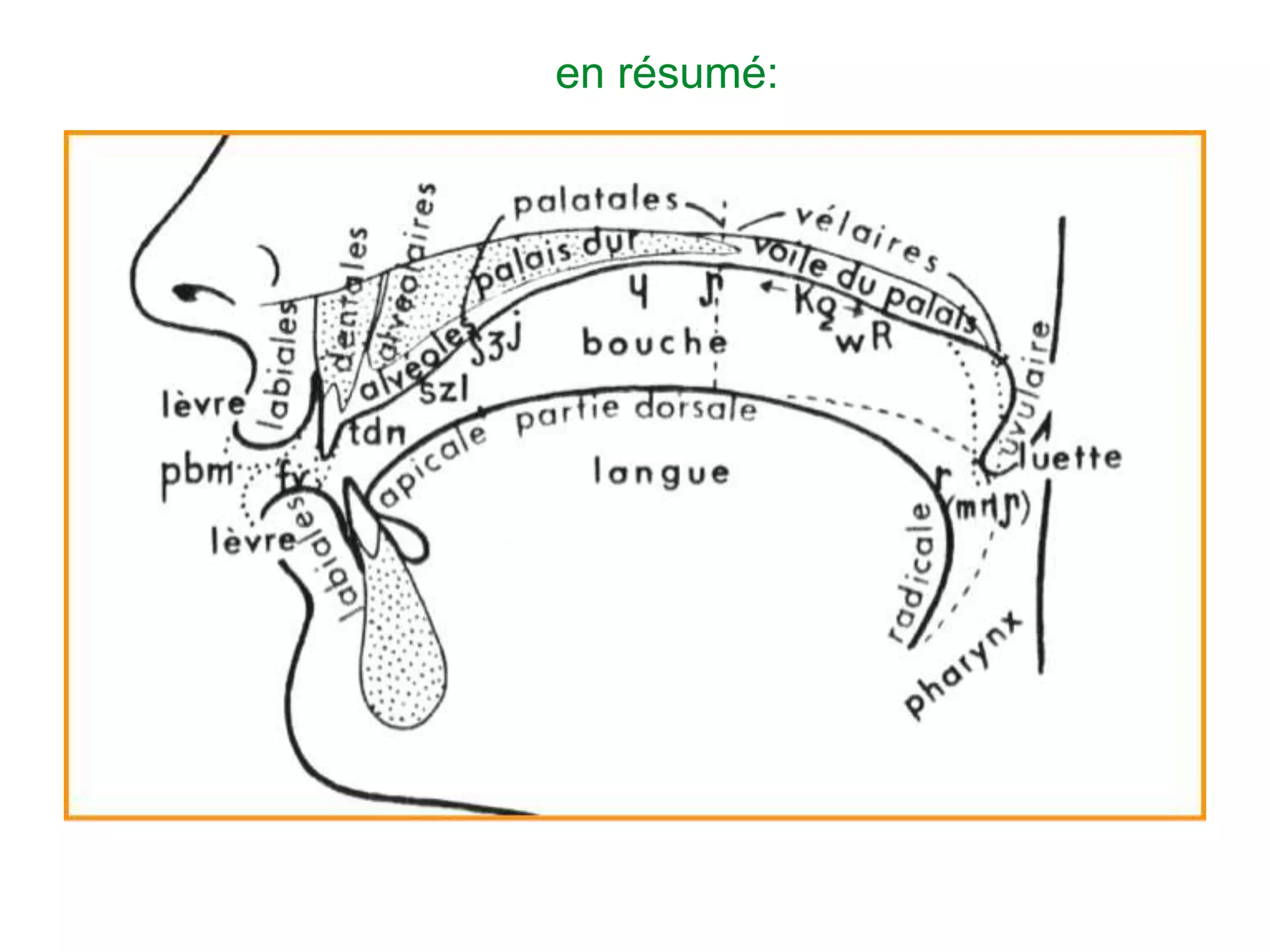 Slide 15