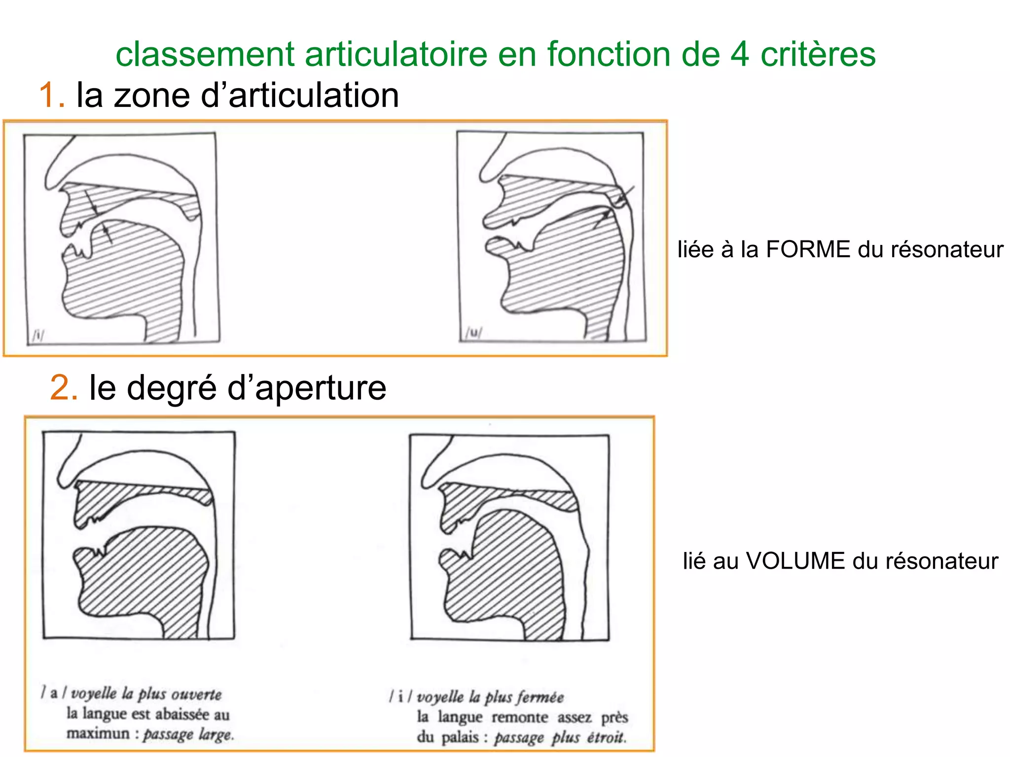 Slide 7