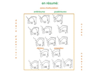 en résumé:
zone d’articulation
antérieures postérieures
d
e
g
r
é
d’
a
p
e
r
t
u
r
e
o
r
a
e
s
n
a
s
a
l
e
s
étirées arrondies
 