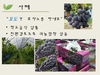 “ 포도가 효자노릇 하네요”
• 학교급식 납품
• 친환경포도로 귀농정착 성공
사례
 