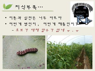 지식부족…
• 이론과 실전은 너무 다르다
• 어떤게 병인지 , 어떤게 해충인지 ?
- 초보가 대체 알수가 없네 ㅠ . ㅠ
 