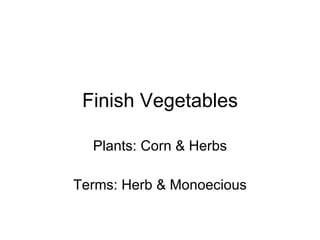 Finish Vegetables Plants: Corn & Herbs Terms: Herb & Monoecious 