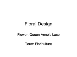 Floral Design Flower: Queen Anne’s Lace Term: Floriculture 
