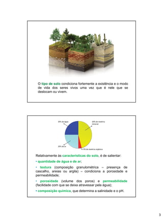 3
O tipo de solo condiciona fortemente a existência e o modo
de vida dos seres vivos uma vez que é nele que se
deslocam ou vivem.
Relativamente às características do solo, é de salientar:
• quantidade de água e de ar;
• textura (composição granulométrica – presença de
cascalho, areias ou argila) – condiciona a porosidade e
permeabilidade;
• porosidade (volume dos poros) e permeabilidade
(facilidade com que se deixa atravessar pela água);
• composição química, que determina a salinidade e o pH.
 