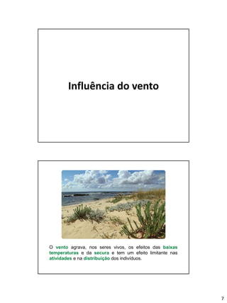 7
Influência do vento
O vento agrava, nos seres vivos, os efeitos das baixas
temperaturas e da secura e tem um efeito limitante nas
atividades e na distribuição dos indivíduos.
 
