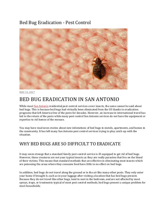 Eradicate Pest Control San Antonio Pest Control