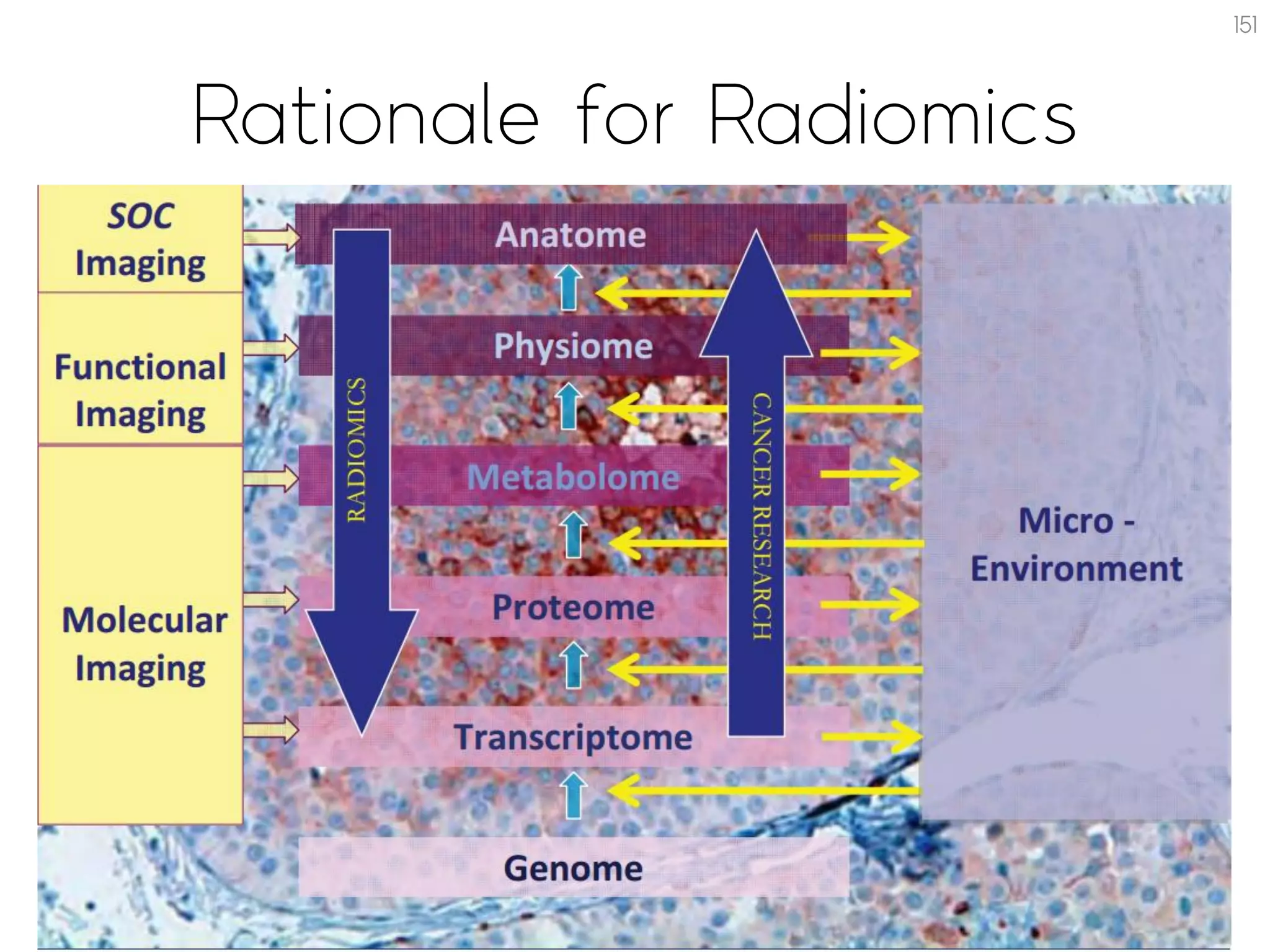 Rationale for Radiomics
151
 
