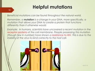 Helpful mutations
Beneficial mutations can be found throughout the natural world.
Remember, a mutation is a change in your DNA, more specifically, a
mutation that allows your DNA to create a protein that functions
differently than it otherwise would.
Example: In humans, scientists have uncovered a recent mutation in the
receptor proteins of the cell membrane. People possessing this mutation
(though few in number) have shown a resistance to HIV. This is due to the
inability of the virus to bind correctly to the host cell.
By Mariam Ohanyan
10
02/07/18
 