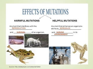 02/07/18By Mariam Ohanyan
11
Source: http://slideplayer.com/slide/5672344/
 
