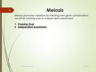 Meiosis
By Mariam Ohanyan
12
02/07/18
Meiosis promotes variation by creating new gene combinations
via either crossing over or independent assortment
1.  Crossing Over
2.  Independent Assortment
 
