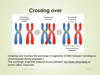 Crossing over
By Mariam Ohanyan
13
02/07/18
Crossing over involves the exchange of segments of DNA between homologous
chromosomes during prophase I
The exchange of genetic material occurs between non-sister chromatids at
points called chiasmata.
 