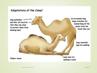 02/07/18By Mariam Ohanyan
1
 