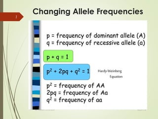 Changing Allele Frequencies
02/07/18By Mariam Ohanyan
1
 