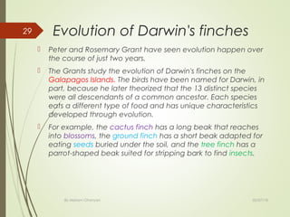 Evolution of Darwin's finches
 Peter and Rosemary Grant have seen evolution happen over
the course of just two years.
 The Grants study the evolution of Darwin's finches on the
Galapagos Islands. The birds have been named for Darwin, in
part, because he later theorized that the 13 distinct species
were all descendants of a common ancestor. Each species
eats a different type of food and has unique characteristics
developed through evolution.
 For example, the cactus finch has a long beak that reaches
into blossoms, the ground finch has a short beak adapted for
eating seeds buried under the soil, and the tree finch has a
parrot-shaped beak suited for stripping bark to find insects.
02/07/18By Mariam Ohanyan
29
 