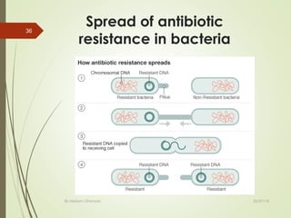 Spread of antibiotic
resistance in bacteria
02/07/18By Mariam Ohanyan
36
 