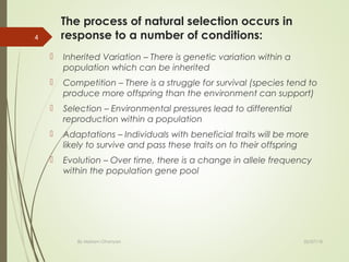 The process of natural selection occurs in
response to a number of conditions:
 Inherited Variation – There is genetic variation within a
population which can be inherited
 Competition – There is a struggle for survival (species tend to
produce more offspring than the environment can support)
 Selection – Environmental pressures lead to differential
reproduction within a population
 Adaptations – Individuals with beneficial traits will be more
likely to survive and pass these traits on to their offspring
 Evolution – Over time, there is a change in allele frequency
within the population gene pool
By Mariam Ohanyan
4
02/07/18
 