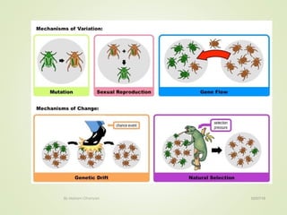 02/07/18By Mariam Ohanyan
 