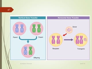02/07/18By Mariam Ohanyan
47
 