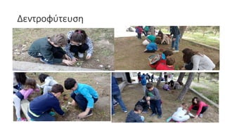 Δεντροφύτευση
 