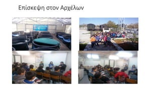 Επίσκεψη στον Αρχέλων
 