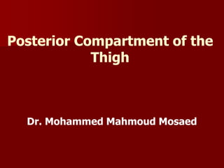 Posterior Compartment of the
Thigh
Dr. Mohammed Mahmoud Mosaed
 