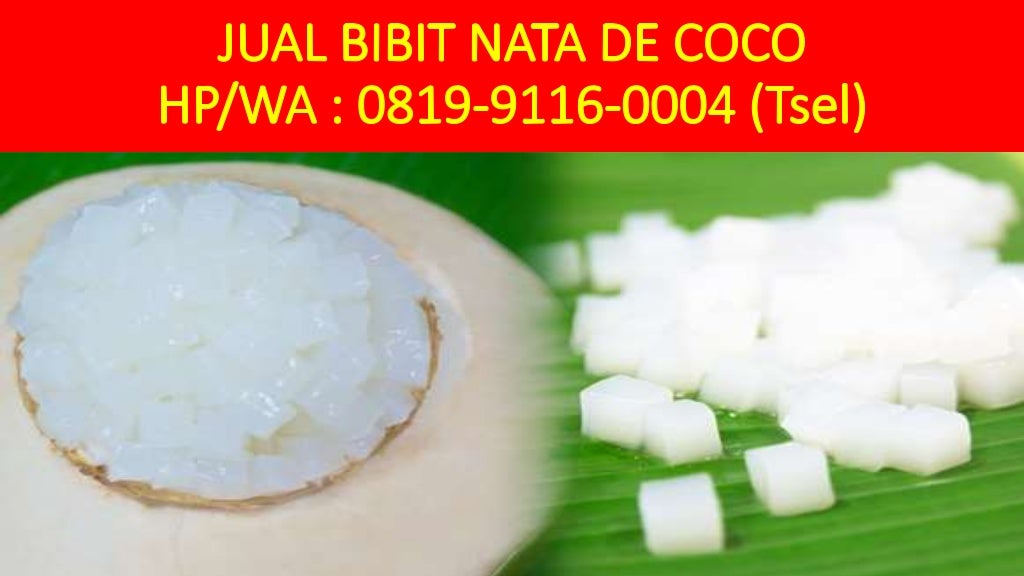How To Make Nata De Coco Starter