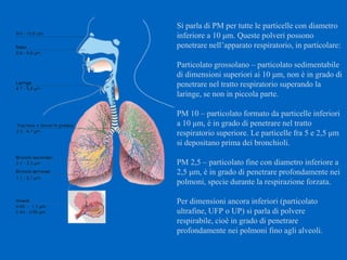 Si parla di PM per tutte le particelle con diametro
inferiore a 10 μm. Queste polveri possono
penetrare nell’apparato respiratorio, in particolare:
Particolato grossolano – particolato sedimentabile
di dimensioni superiori ai 10 μm, non è in grado di
penetrare nel tratto respiratorio superando la
laringe, se non in piccola parte.
PM 10 – particolato formato da particelle inferiori
a 10 μm, è in grado di penetrare nel tratto
respiratorio superiore. Le particelle fra 5 e 2,5 μm
si depositano prima dei bronchioli.
PM 2,5 – particolato fine con diametro inferiore a
2,5 μm, è in grado di penetrare profondamente nei
polmoni, specie durante la respirazione forzata.
Per dimensioni ancora inferiori (particolato
ultrafine, UFP o UP) si parla di polvere
respirabile, cioè in grado di penetrare
profondamente nei polmoni fino agli alveoli.
 