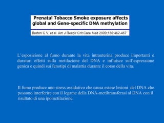 L’esposizione al fumo durante la vita intrauterina produce importanti e
duraturi effetti sulla metilazione del DNA e influisce sull’espressione
genica e quindi sui fenotipi di malattia durante il corso della vita.
Il fumo produce uno stress ossidativo che causa estese lesioni del DNA che
possono interferire con il legame della DNA-metiltransferasi al DNA con il
risultato di una ipometilazione.
 