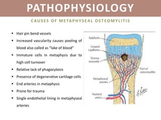 PATHOPHYSIOLOGY
CAUSES OF METAPHYSEAL OST EOMYL I T I S
 Hair pin bend vessels
 Increased vascularity causes pooling of
blood also called as “lake of blood”
 Immature cells in metaphysis due to
high cell turnover
 Relative lack of phagocytosis
 Presence of degenerative cartilage cells
 End arteries in metaphysis
 Prone for trauma
 Single endothelial lining in metaphyseal
arteries
 