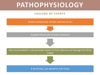 PATHOPHYSIOLOGY
CASCADE OF EV ENTS
Vessels compressed, further necrosis occurs
Exudate follow path of least resistance
Gets accumulated in sub-periosteal spaces to form abscess and damage the blood
supply
If perforates, can spread to soft tissue
 