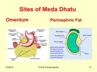 Sites of Meda Dhatu
Omentum Perinephric Fat
07/06/18 Prof.Dr.R.R.Deshpande 16
 