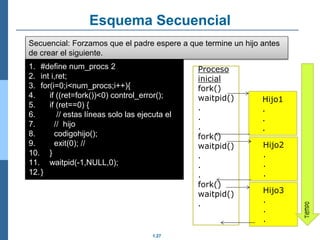 1.27
Esquema Secuencial
1. #define num_procs 2
2. int i,ret;
3. for(i=0;i<num_procs;i++){
4. if ((ret=fork())<0) control_error();
5. if (ret==0) {
6. // estas líneas solo las ejecuta el
7. // hijo
8. codigohijo();
9. exit(0); //
10. }
11. waitpid(-1,NULL,0);
12.}
Secuencial: Forzamos que el padre espere a que termine un hijo antes
de crear el siguiente.
Proceso
inicial
fork()
waitpid()
.
.
.
fork()
waitpid()
.
.
.
fork()
waitpid()
.
Hijo1
.
.
.
Hijo2
.
.
.
Hijo3
.
.
.
 