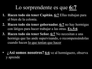 Lo sorprendente es que 6:7
1. Hacen todo sin tener Capitán. 6:7 Ellas trabajan para
el bien de la colonia.
2. Hacen todo sin tener gobernador. 6:7 no hay hormigas
con látigos para hacer trabajar a las otras. Ex.5:6
3. Hacen todo sin tener Señor. 6:7 No necesitan a una
hormiga que las ande supervisando, o recompensándolas
cuando hacen lo que tenían que hacer
• ¿Asi somos nosotros? 6:6 ve al hormiguero, observa
y aprende
 