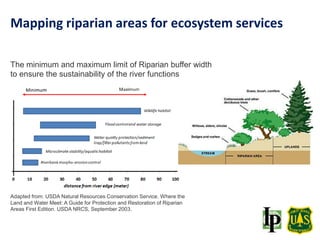 Adapted from: USDA Natural Resources Conservation Service. Where the
Land and Water Meet: A Guide for Protection and Restoration of Riparian
Areas First Edition. USDA NRCS, September 2003.
The minimum and maximum limit of Riparian buffer width
to ensure the sustainability of the river functions
Mapping riparian areas for ecosystem services
 
