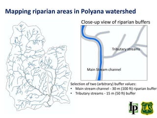 Selection of two (arbitrary) buffer values:
• Main stream channel - 30 m (100 ft) riparian buffer
• Tributary streams - 15 m (50 ft) buffer
Close-up view of riparian buffers
Main Stream channel
Tributary streams
Mapping riparian areas in Polyana watershed
 