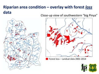 Close-up view of southwestern “big Pinya”
Forest loss – Landsat data 2001-2014
Riparian area condition – overlay with forest loss
data
 