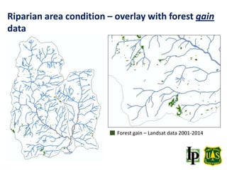 Forest gain – Landsat data 2001-2014
Riparian area condition – overlay with forest gain
data
 