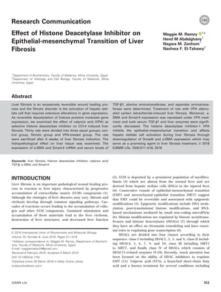Research Communication
Effect of Histone Deacetylase Inhibitor on
Epithelial-mesenchymal Transition of Liver
Fibrosis
Maggie M. Ramzy 1
*
Hend M Abdelghany1
Nagwa M. Zenhom1
Nashwa F. El-Tahawy2
1
Department of Biochemistry, Faculty of Medicine, Minia University, Egypt
2
Department of Histology and Cell Biology, Faculty of Medicine, Minia
University, Egypt
Abstract
Liver ﬁbrosis is an excessively reversible wound healing pro-
cess and the ﬁbrotic disorder is the activation of hepatic stel-
late cell that requires extensive alterations in gene expression.
As reversible deacetylation of histone proteins modulate gene
expression, we examined the effect of valproic acid (VPA) as
selective histone deacetylase inhibitor on CCl-4 induced liver
ﬁbrosis. Thirty rats were divided into three equal groups; con-
trol group, ﬁbrotic group and VPA-treated group. The rats
were sacriﬁced after 6 weeks of liver ﬁbrosis induction. The
histopathological effect on liver tissue was examined. The
expression of a-SMA and Smad-4 mRNA and serum levels of
TGF-b1, alanine aminotransferase, and aspartate aminotrans-
ferase were determined. Treatment of rats with VPA attenu-
ated carbon tetrachloride-induced liver ﬁbrosis. Moreover, a-
SMA and Smad-4 expression was repressed under VPA treat-
ment and both serum TGF-b1 and liver enzymes were signiﬁ-
cantly decreased. The histone deacetylase inhibitor-1 VPA
inhibits the epithelial–mesenchymal transition and affects
hepatic stellate cell activation during liver ﬁbrosis through
downregulation of Smad4 and a-SMA expression which may
serve as a promising agent in liver ﬁbrosis treatment. VC 2018
IUBMB Life, 70(6):511–518, 2018
Keywords: liver fibrosis; histone deacetylase inhibitor; valproic acid;
TGF-b; a-SMA; and Smad-4
INTRODUCTION
Liver ﬁbrosis is an important pathological wound healing pro-
cess in reaction to liver injury characterized by progressive
accumulation of extracellular matrix (ECM) components (1).
Although the etiologies of liver diseases may vary, ﬁbrosis and
cirrhosis develop through common signaling pathways. Cas-
cades of reactions occurs leading to the accumulation of colla-
gen and other ECM components. Sustained stimulation and
accumulation of these materials lead to the liver cirrhosis,
destruction of liver structures, and decreased liver function
(2). ECM is deposited by a prominent population of myoﬁbro-
blasts (3) which are absent from the normal liver and are
derived from hepatic stellate cells (HSCs) in the injured liver
(4). Consecutive rounds of epithelial–mesenchymal transition
(EMT) and mesenchymal–epithelial transition (MET) suggest
that EMT could be reversible and associated with epigenetic
modiﬁcations (5). Epigenetic modiﬁcations include DNA meth-
ylation, post-translational histone modiﬁcations, and RNA-
based mechanisms mediated by small non-coding microRNAs
(6). Histone modiﬁcations are regulated by histone acetyltrans-
ferases and histone deacetylases (HDACs) (7) through which
they have an effect on chromatin remodeling and have essen-
tial roles in regulating gene transcription (8).
HDACs are divided into four classes according to their
sequence: class I including HDAC1, 2, 3, and 8, class II includ-
ing HDAC4, 5, 6, 7, 9, and 10, class III including SIRT1
to SIRT7, and ﬁnally class IV of HDACs which consists of
HDAC11-related enzymes (9,10). Recently, much attention has
been focused on the ability of HDAC inhibitors to regulate
EMT (11). Valproic acid (VPA), a branched short-chain fatty
acid and a known treatment for several conditions including
VC 2018 International Union of Biochemistry and Molecular Biology
Volume 70, Number 6, June 2018, Pages 511–518
*Address correspondence to: Maggie M. Ramzy, Department of Biochem-
istry, Faculty of Medicine, Minia University, Egypt.
E-mail: maggiemaher24@gmail.com
Received 6 February 2018; Accepted 5 March 2018
DOI 10.1002/iub.1742
Published online 30 March 2018 in Wiley Online Library
(wileyonlinelibrary.com)
IUBMB Life 511
 
