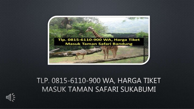 5 Tlp 0815 6110 900 Wa Harga Tiket Masuk Taman Safari