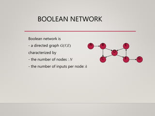 BOOLEAN NETWORK
Boolean network is
- a directed graph G(V,E)
characterized by
- the number of nodes : N
- the number of inputs per node: k
A B
C
E
D
F G
 