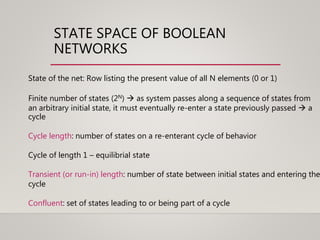 STATE SPACE OF BOOLEAN
NETWORKS
State of the net: Row listing the present value of all N elements (0 or 1)
Finite number of states (2N)  as system passes along a sequence of states from
an arbitrary initial state, it must eventually re-enter a state previously passed  a
cycle
Cycle length: number of states on a re-enterant cycle of behavior
Cycle of length 1 – equilibrial state
Transient (or run-in) length: number of state between initial states and entering the
cycle
Confluent: set of states leading to or being part of a cycle
 
