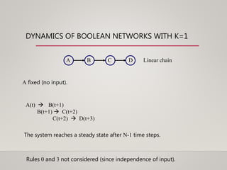 DYNAMICS OF BOOLEAN NETWORKS WITH K=1
Linear chainA B C D
A fixed (no input).
A(t)  B(t+1)
B(t+1)  C(t+2)
C(t+2)  D(t+3)
The system reaches a steady state after N-1 time steps.
Rules 0 and 3 not considered (since independence of input).
 