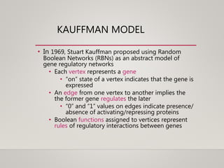 KAUFFMAN MODEL
• In 1969, Stuart Kauffman proposed using Random
Boolean Networks (RBNs) as an abstract model of
gene regulatory networks
• Each vertex represents a gene
• “on” state of a vertex indicates that the gene is
expressed
• An edge from one vertex to another implies the
the former gene regulates the later
• “0” and “1” values on edges indicate presence/
absence of activating/repressing proteins
• Boolean functions assigned to vertices represent
rules of regulatory interactions between genes
 